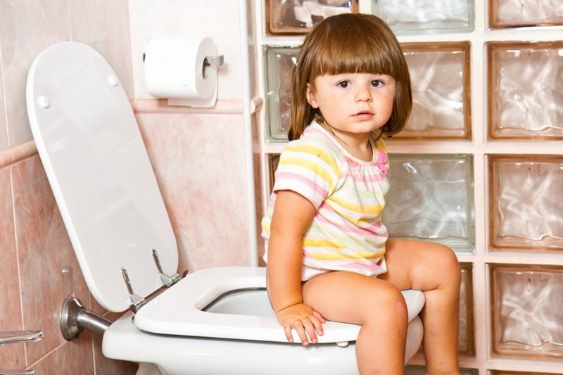 Best Potty Training Seat